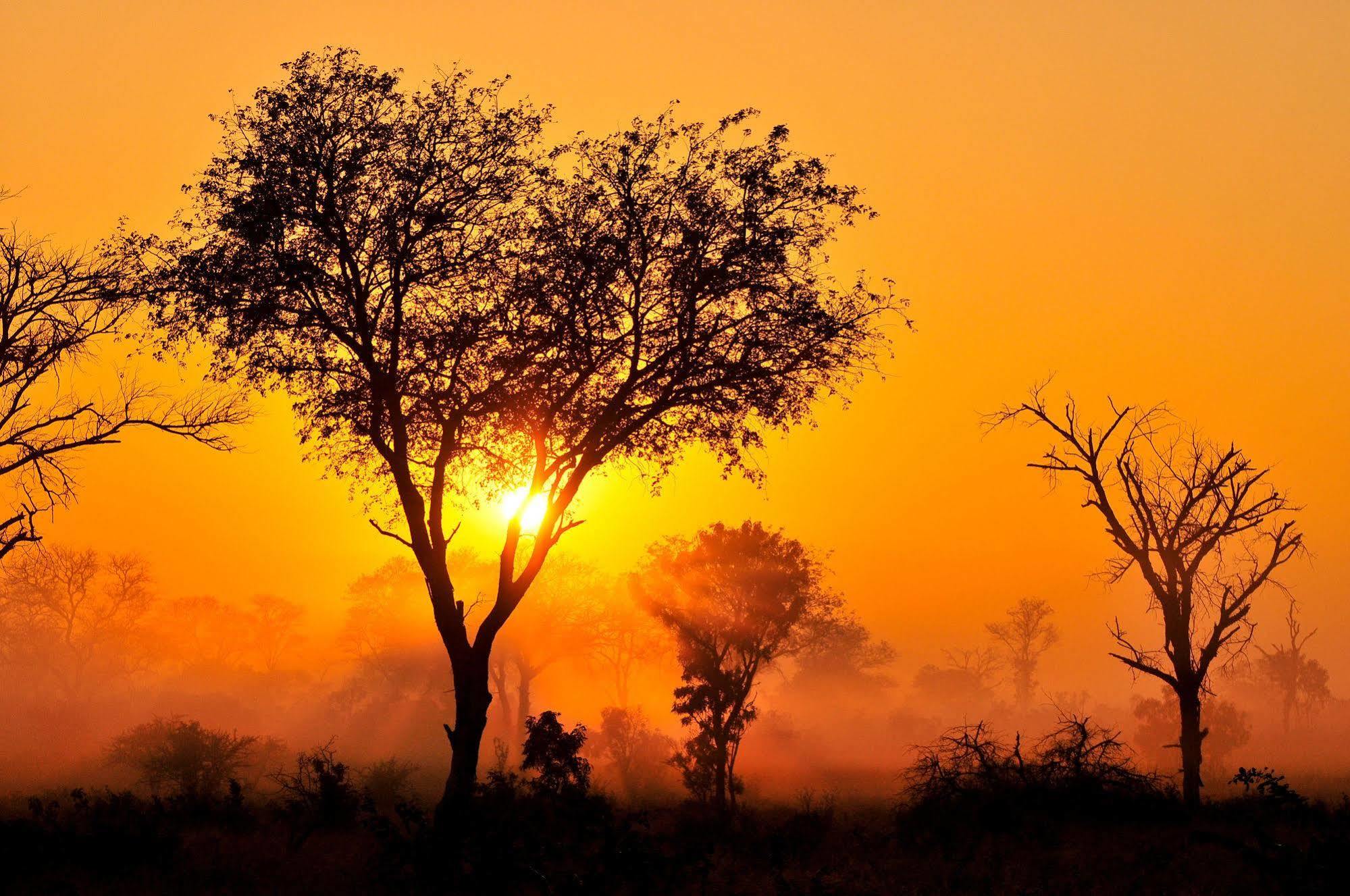 Inyati Game Lodge Metsi 外观 照片