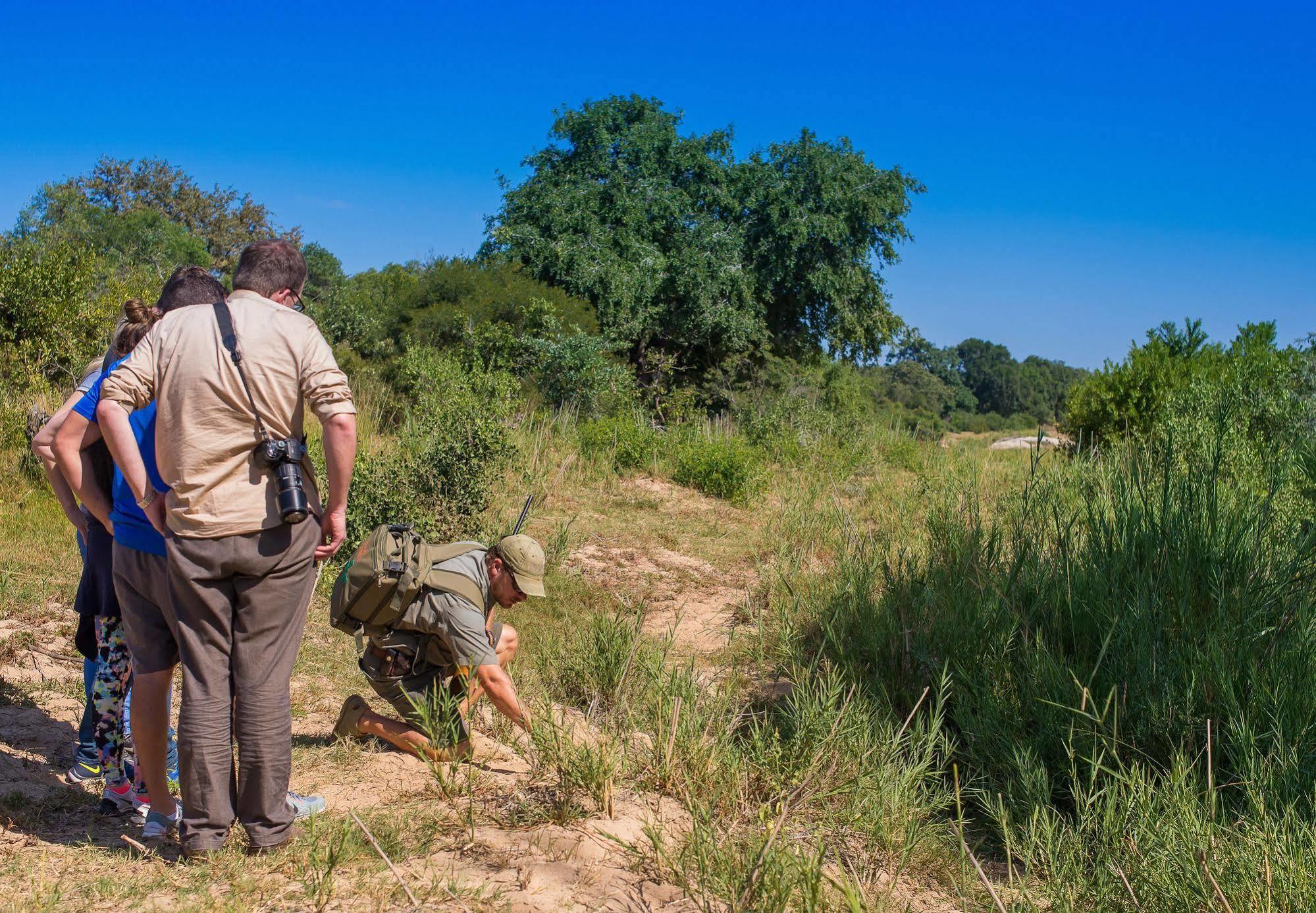 Inyati Game Lodge Metsi 外观 照片