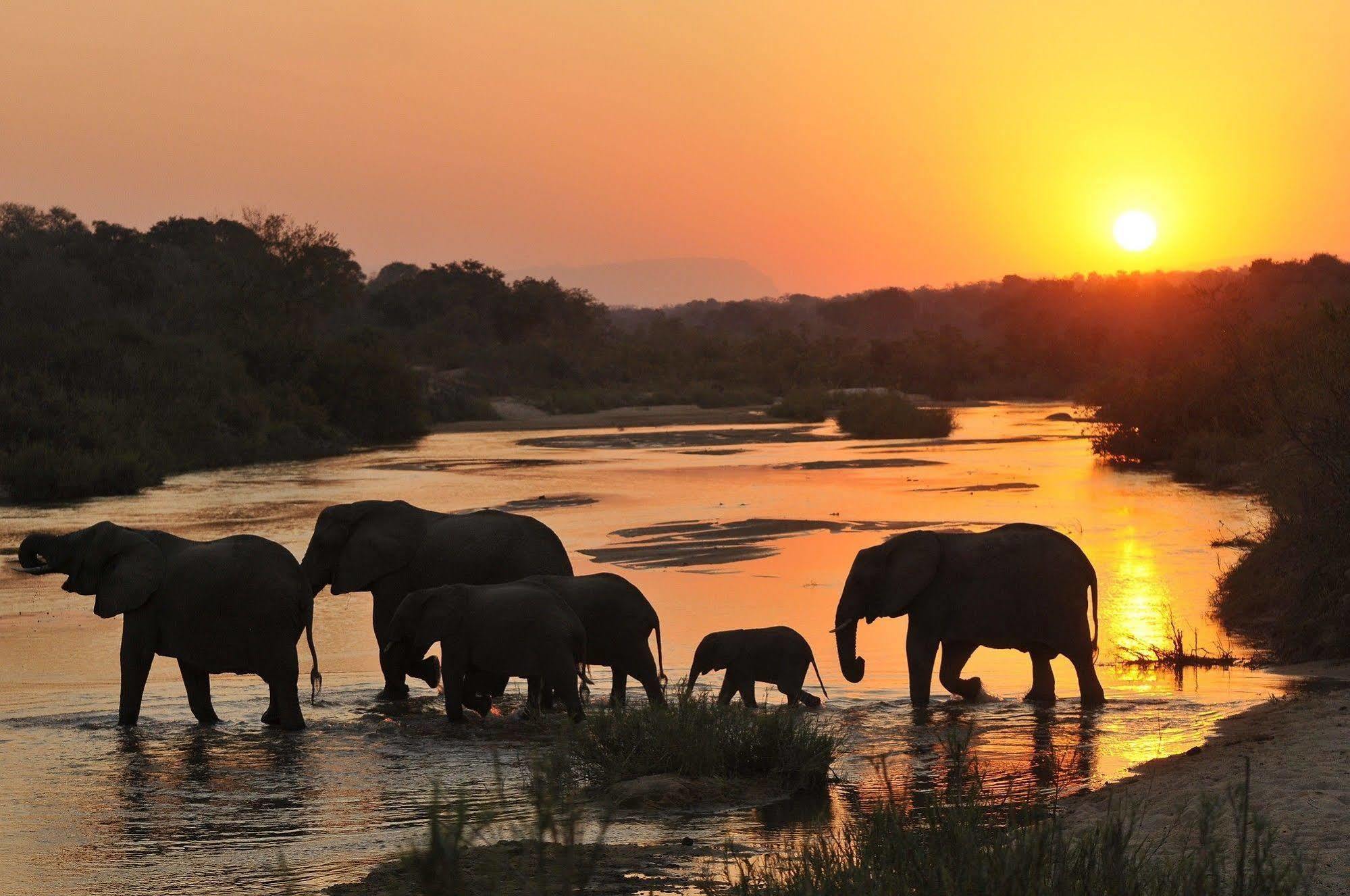 Inyati Game Lodge Metsi 外观 照片